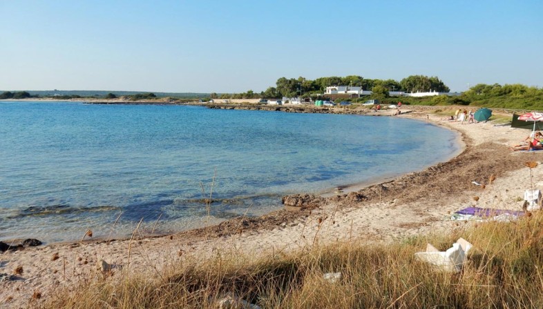 La retirada de la posidonia de las playas de Baleares, todo un ejemplo para otras regiones mediterrá